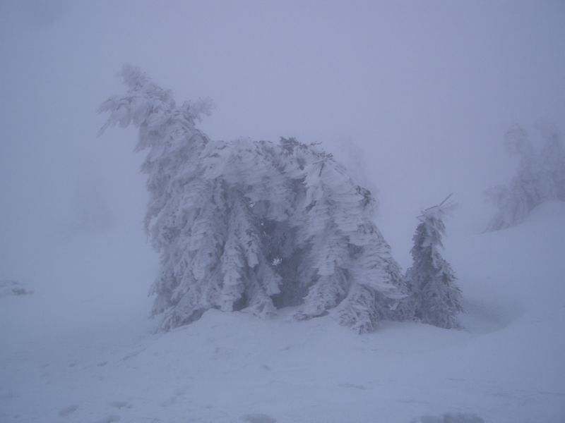 brocken (12) Eisformationen